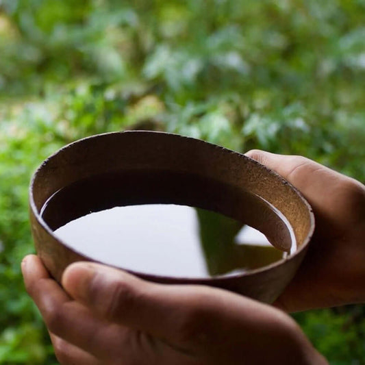 Guayusa Cacao Ritual Elixir