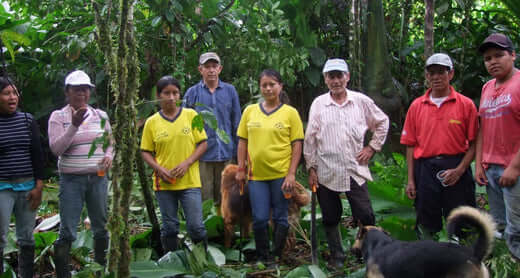 Pachakuti Cacao family