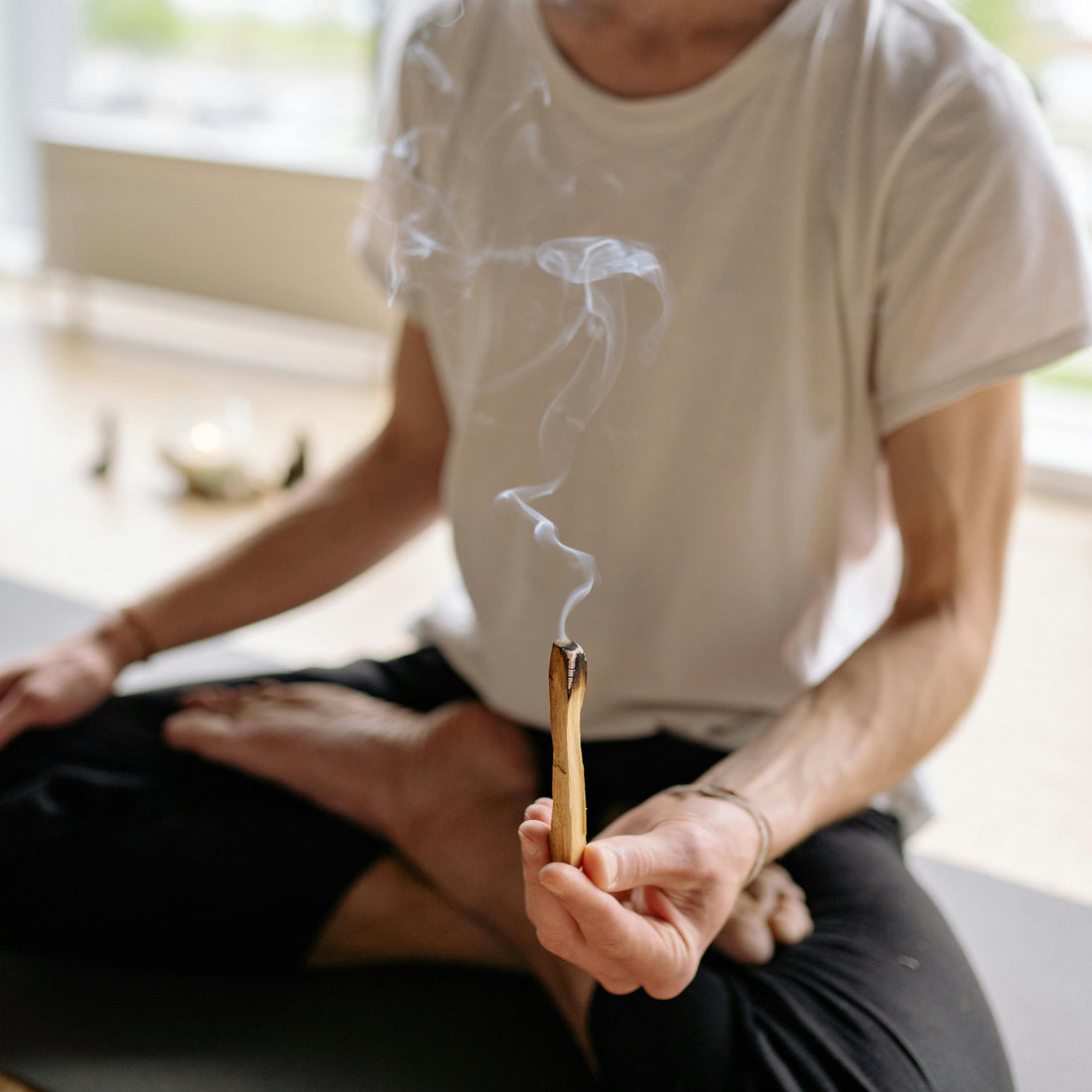 Sacred Smoke – The Story, Benefits, and Reforestation of Palo Santo