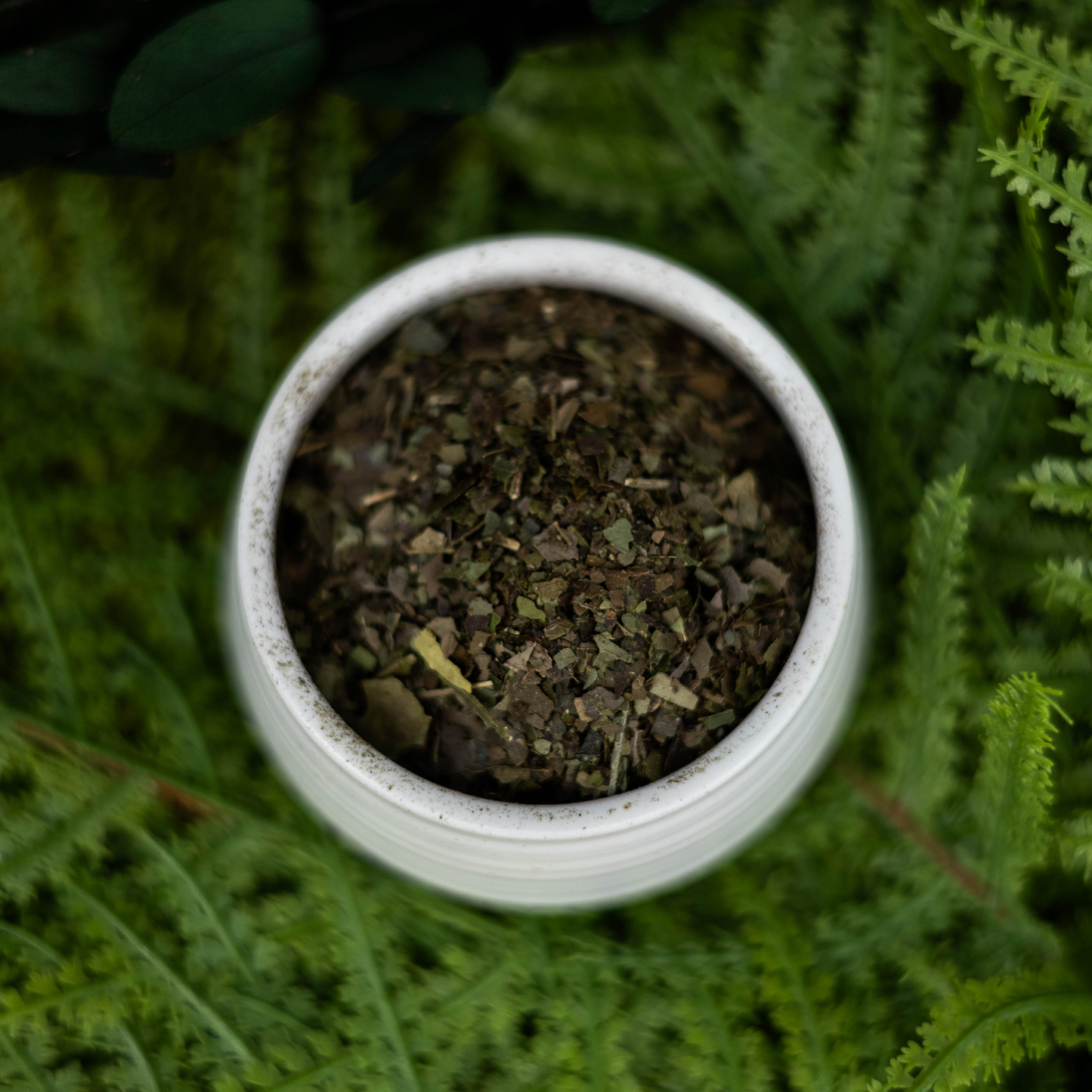 Finely Cut Guayusa Tea - Amazonian Energy and Clarity