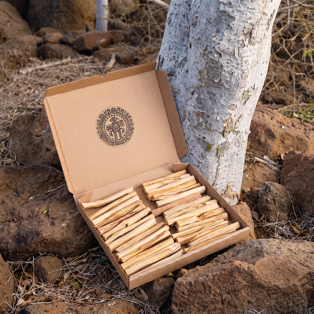 Open box of Palo Santo sticks at the base of a tree