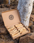 Open box of Palo Santo sticks at the base of a tree
