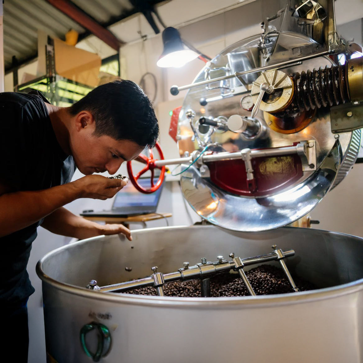 Witoca Café Shaman – Limited Edition Specialty Robusta