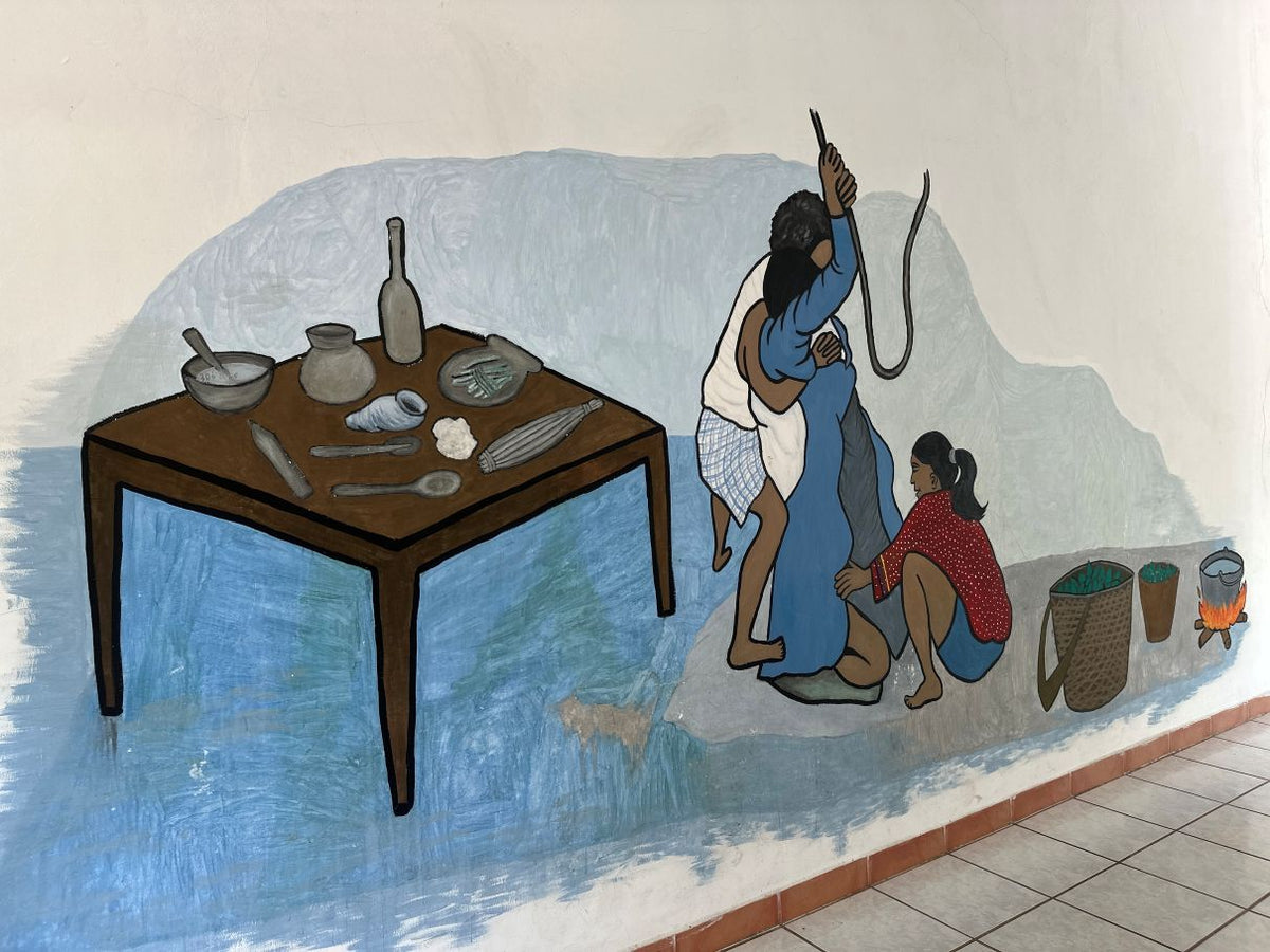 Heal Your Womb and Feminine Energy with Ceremonial Cacao