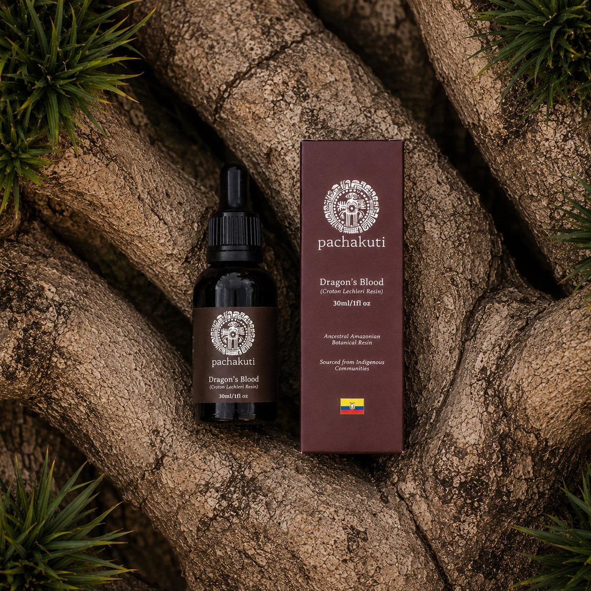 Dragon's Blood - 100% Pure Croton Lechleri Resin
