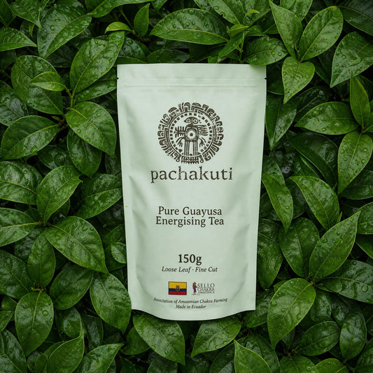Guayusa - Traditional Amazonian Leaf Tea