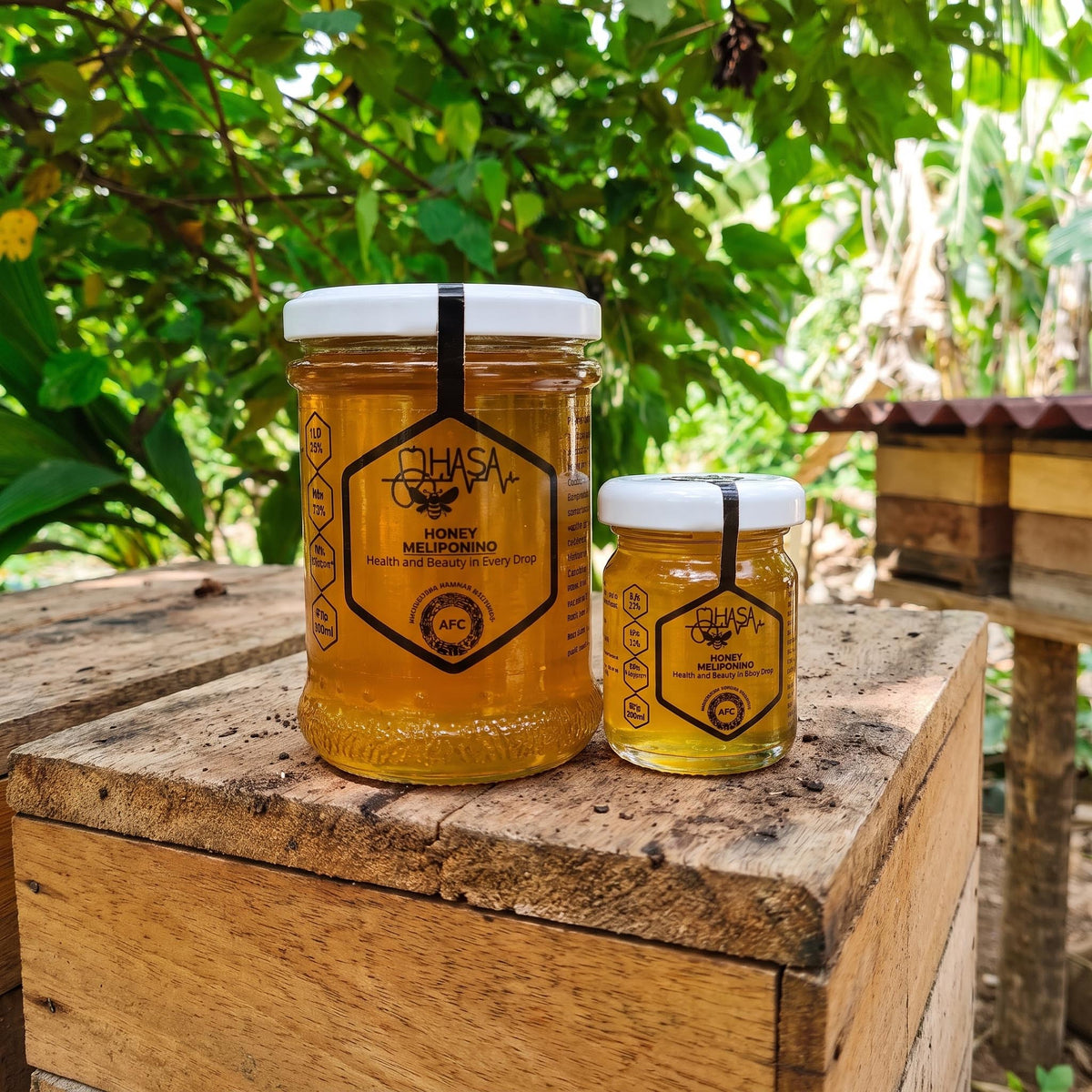 HASA Honey - Rare Honey from Stingless Bees