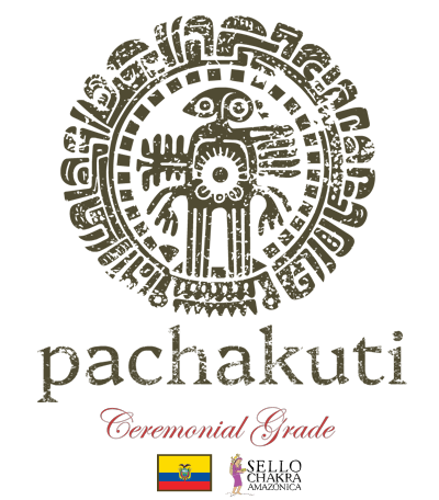 Buy Ceremonial Grade Cacao from Pachakuti Cacao