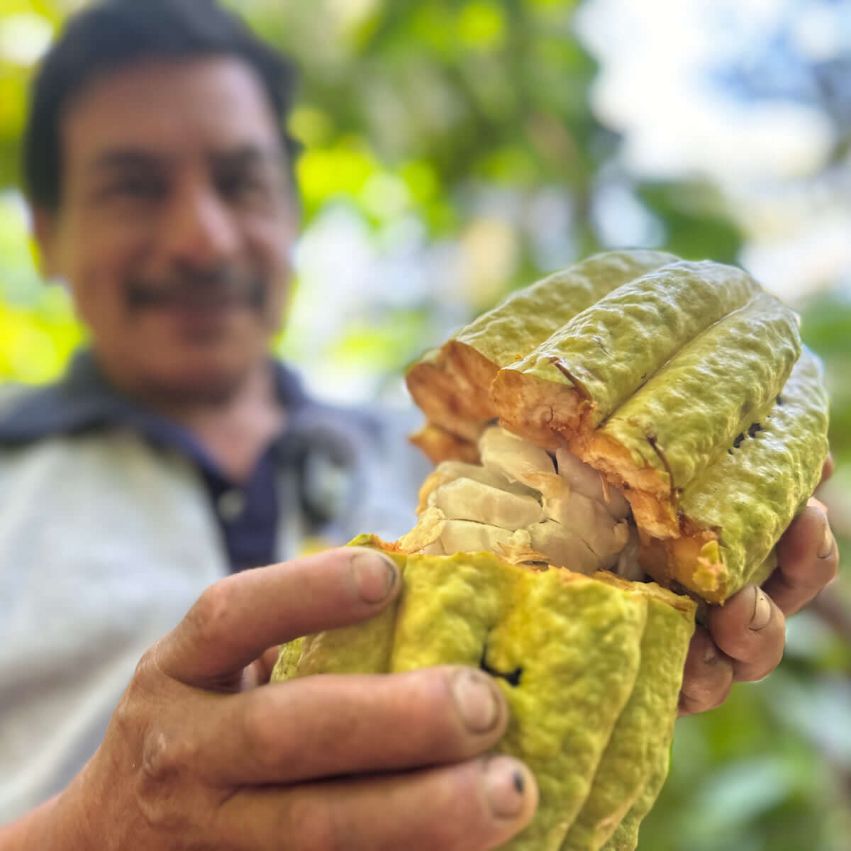 Arriba Nacional Cacao - Authentic Ecuadorian Cacao Paste