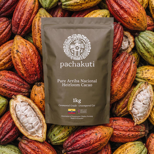 1kg bag of Pachakuti Ceremonial Cacao, 100% pure Arriba Nacional, on fresh cacao pods