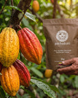 Hand holding the 1kg Ceremonial Cacao bag beside ripe cacao pods on the tree