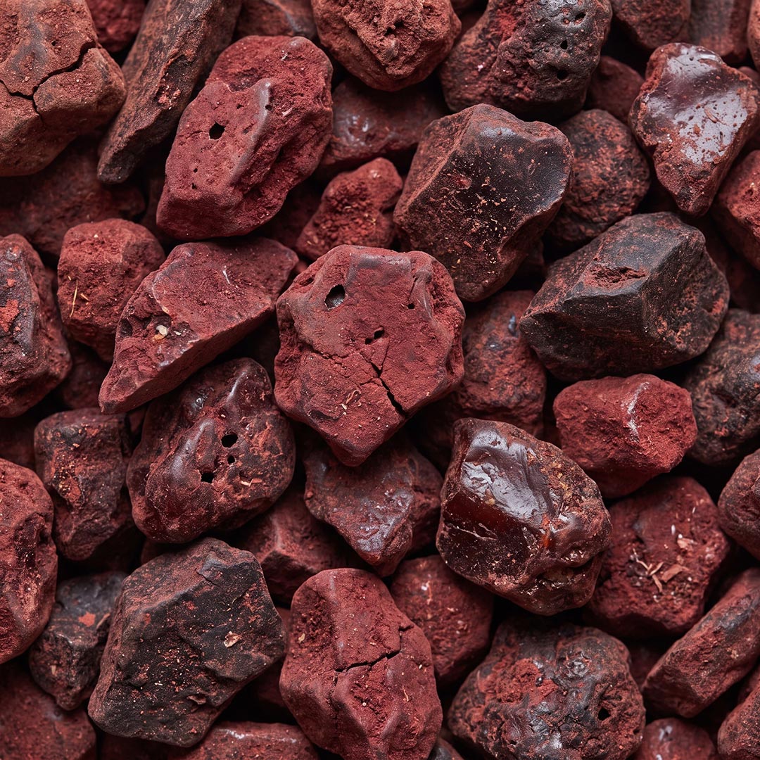 Close-up of dried Dragon's Blood resin