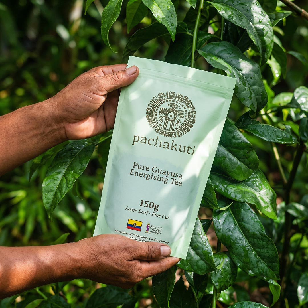 Hands holding a bag of Guayusa tea among guayusa leaves