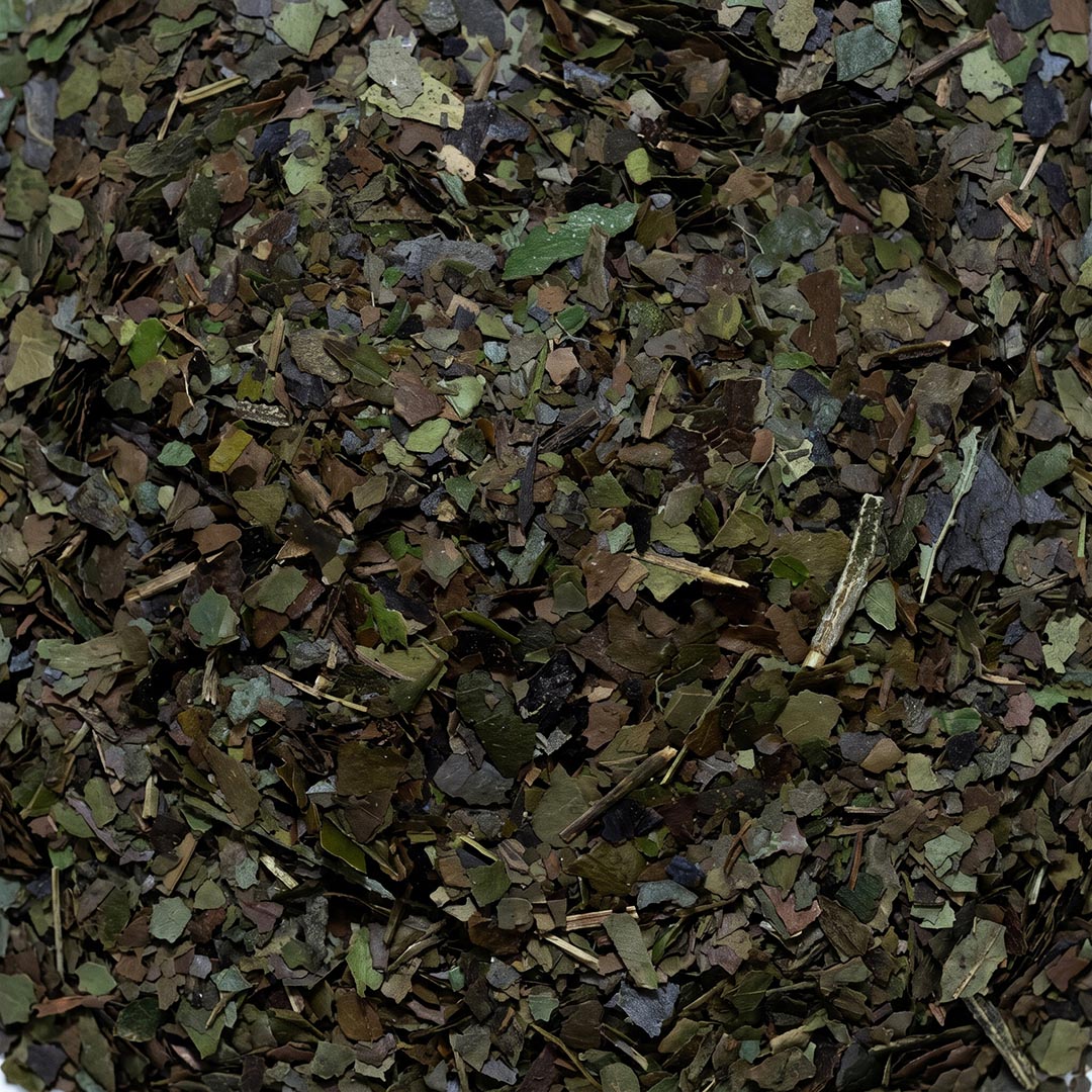 Close-up of dried, fine-cut guayusa leaves