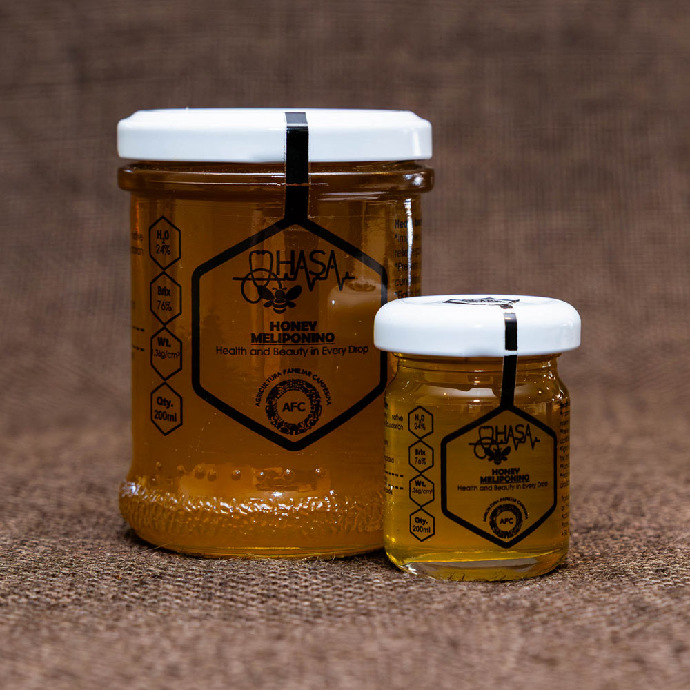 HASA Stingless Bee Honey | Rare Honey from the Heart of the Amazon