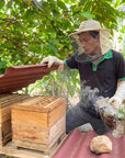 Beekeeper opening a wooden stingless bee hive in the Ecuadorian Amazon