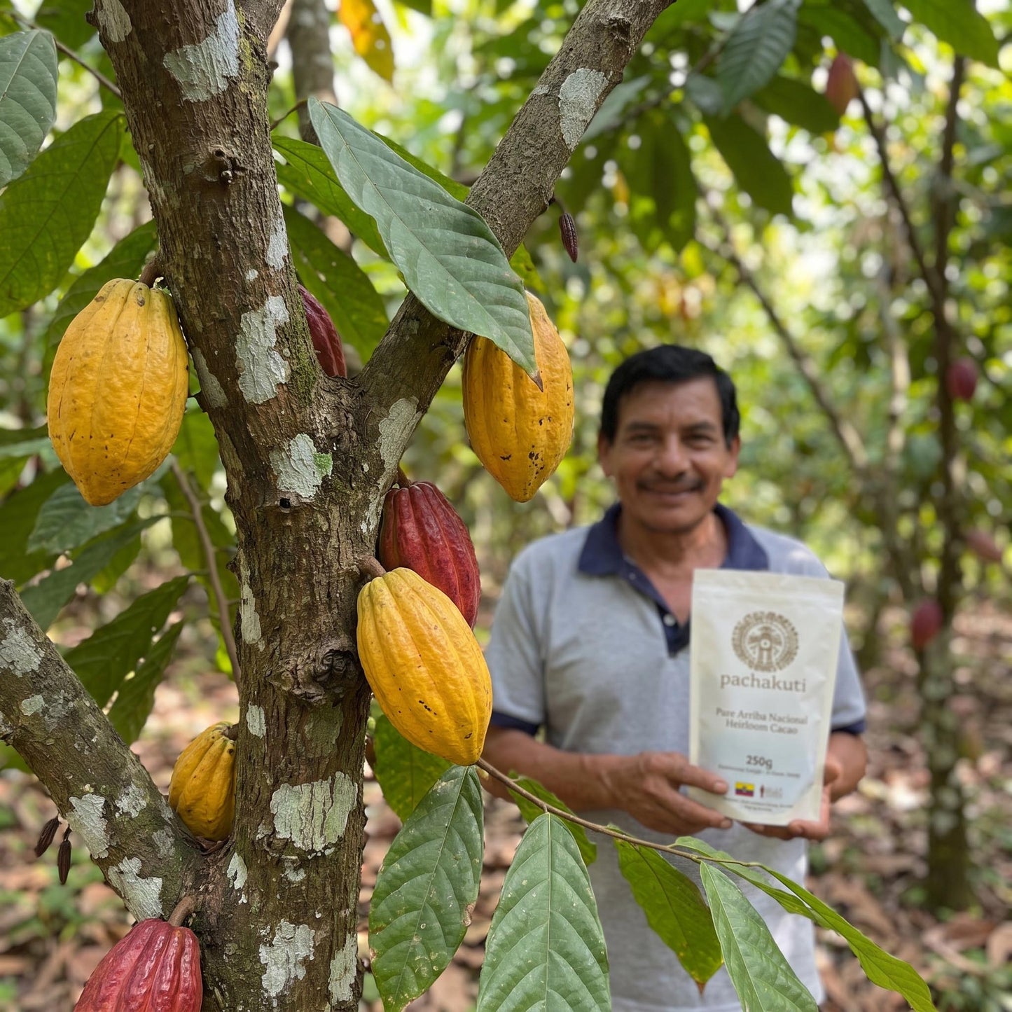 Ceremonial Cacao Drops - 100% Pure Arriba Nacional