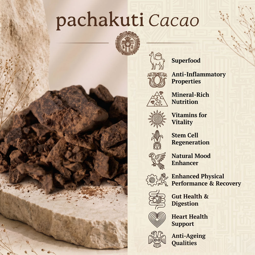 Pachakuti Cacao infographic listing benefits: superfood, anti-inflammatory, mineral-rich, vitamins, stem cell regeneration, mood, physical performance, gut health, heart health, anti-ageing
