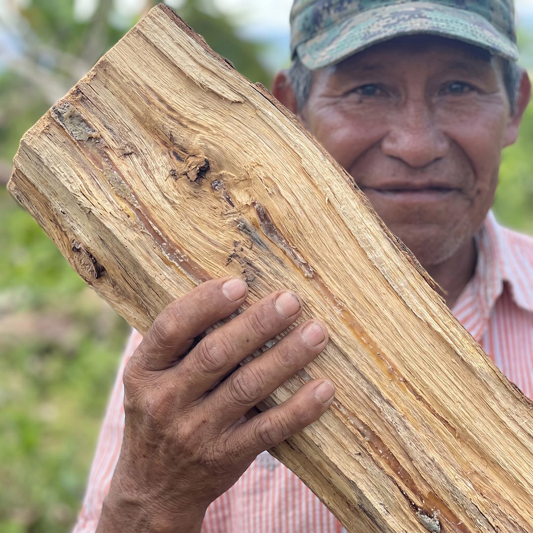 Man holding a large piece of Palo Santo wood