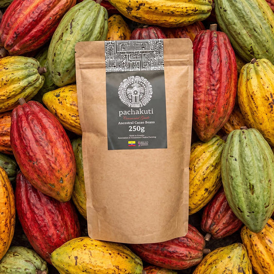 250g bag of Pachakuti unroasted Arriba Nacional cacao beans on fresh cacao pods
