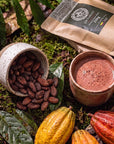 Cup of unroasted cacao beans and a cup of cacao drink among cacao pods