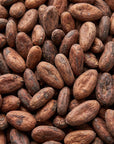 Close-up of whole unroasted Arriba Nacional cacao beans