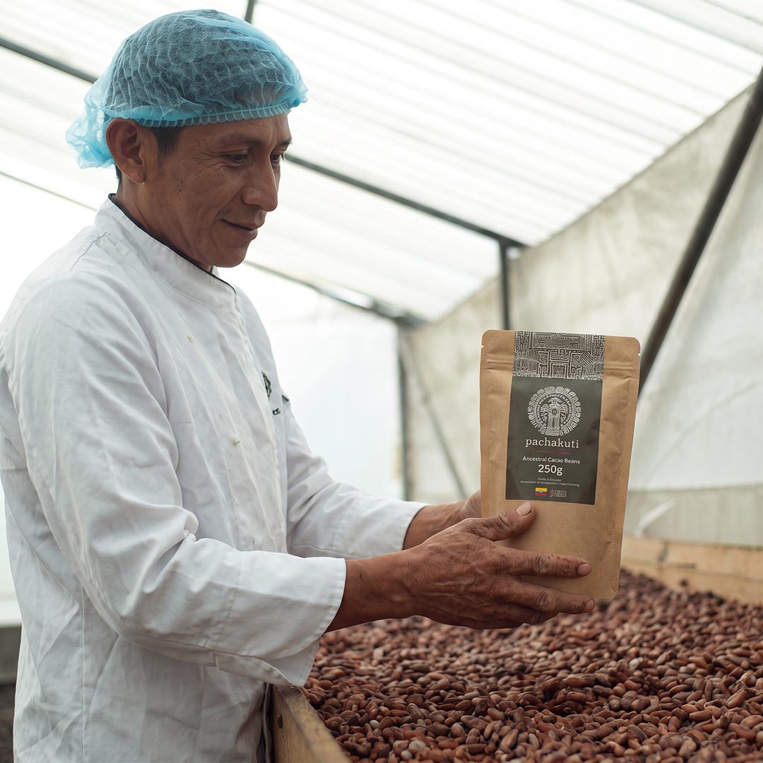 Worker holding a bag of unroasted cacao beans over a bed of cacao beans