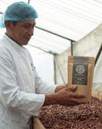Worker holding a bag of unroasted cacao beans over a bed of cacao beans
